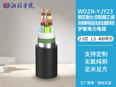電纜接頭有哪些常見(jiàn)的故障類型？